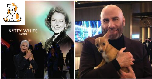 Rescue Dog Seen In Oscars Betty White Tribute Gets Adopted By John Travolta