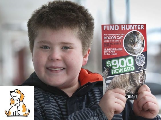 9-year-old boy finds cat that went missing for 74 days and gets $1,025 reward