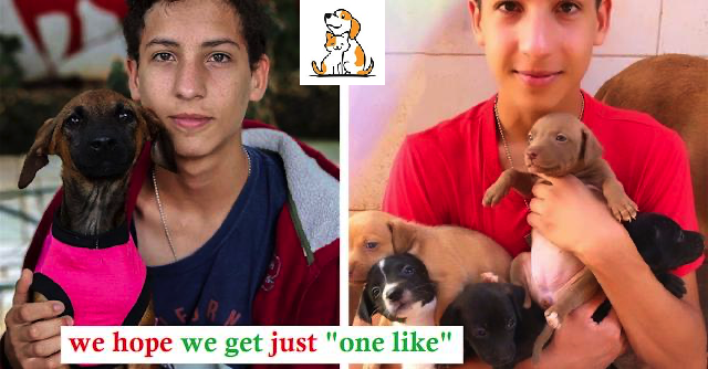 Teenager Opens A Singular Animal Shelter And Has Already Reclaimed Twenty Six Animals