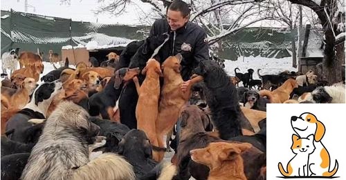 Man Couldn’t Bear Sight Of Stray Dogs On The Streets So He Adopts Over 700 Of Them