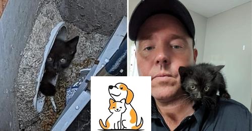 Firefighter Rescues Stray Kitten From Sewer, Then Gives Him A Home