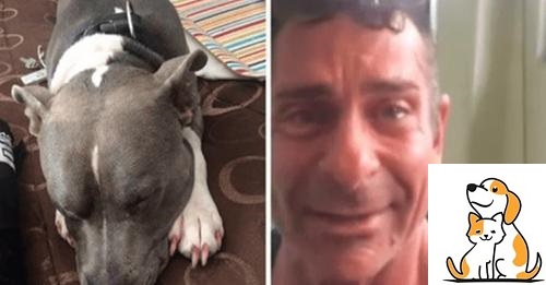 Just Two Days Before His Scheduled Euthanasia, A Man Reunites With His Stolen Dog.