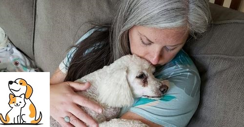Woman Turns Her Home Into Hospice For Old Shelter Dogs So They Don’t Die Alone
