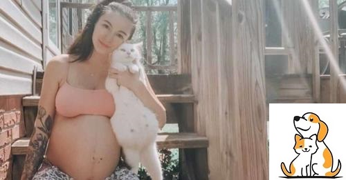 Woman Meets A Stray Cat-Mom And They Get To Be The Most Admirable Pregnant Besties