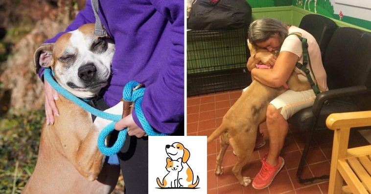 Dog Chained To Abandoned House Gets Rescued And Now Loves To Hug Everyone He Meets