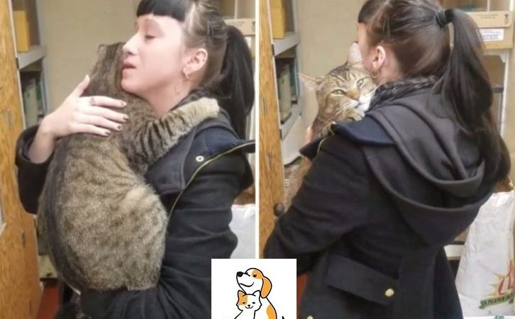 Shelter cat firmly cling the girl and refused to let her go