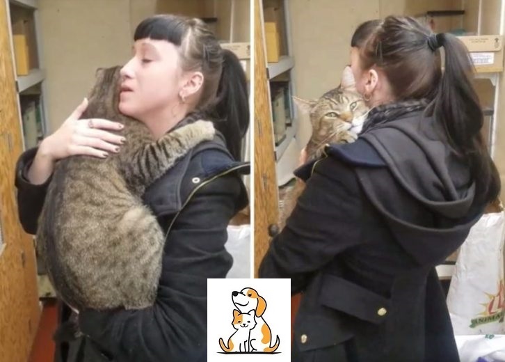 Shelter cat firmly cling the girl and refused to let her go