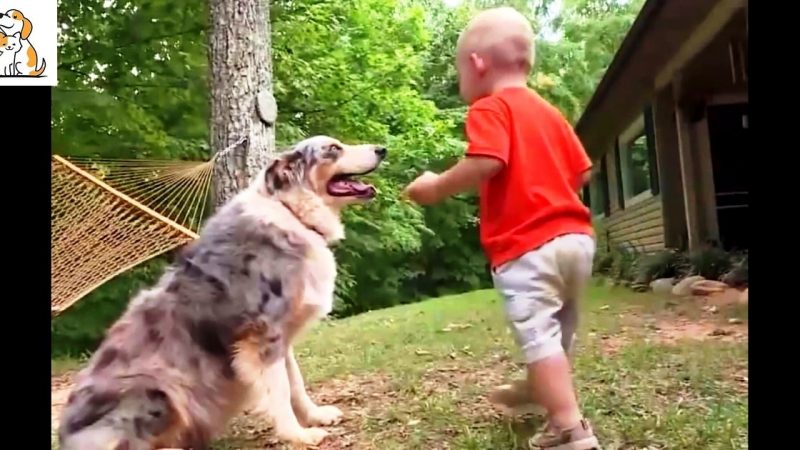 When The Dog Jumps On The Baby In The Yard, The Parents Become Alarmed Before Noticing The Baby’s Foot