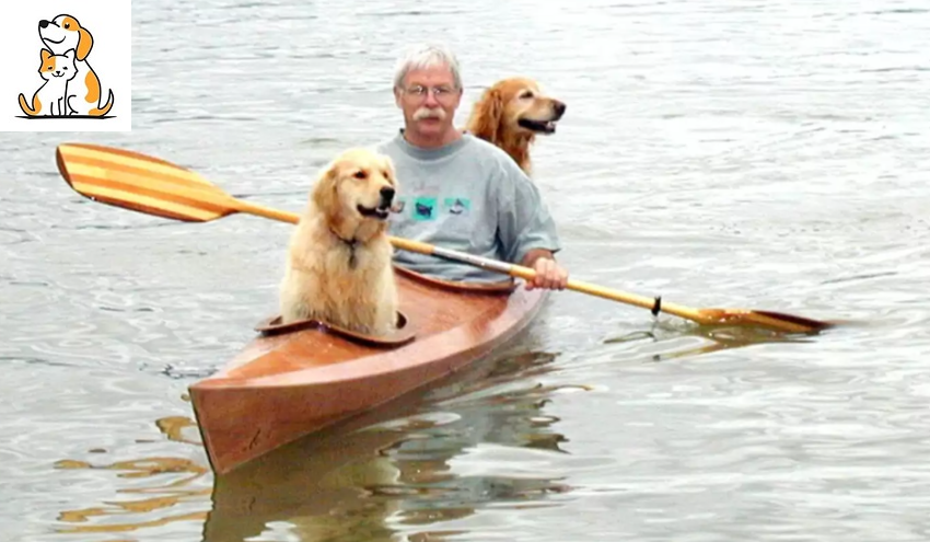 Man Built His Own Kayak To Go On Adventures With His Dogs