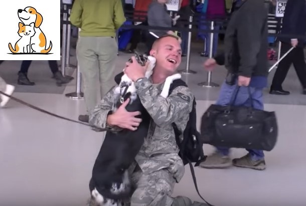 Serviceman Falls to His Knees Upon Reuniting With His Best Friend