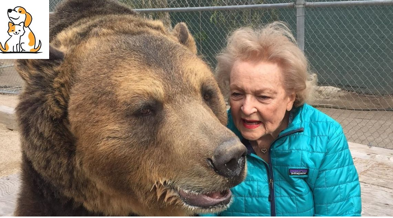 Giant Grizzly Bear Gives Betty White a Birthday Present With a Sweet Kiss!