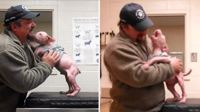 A Man Adopts The Dog He Rescued When He Goes Back, And The Puppy Couldn’t Be Happier