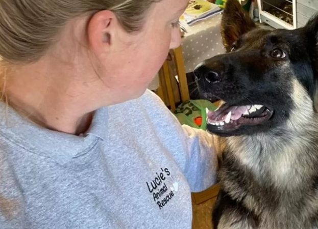 Woman Rescues Dog From Euthanasia, Then Realizes She’s Saving More Than One Life
