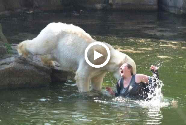 A polar bear a.ttacks a woman in the Berlin zoo