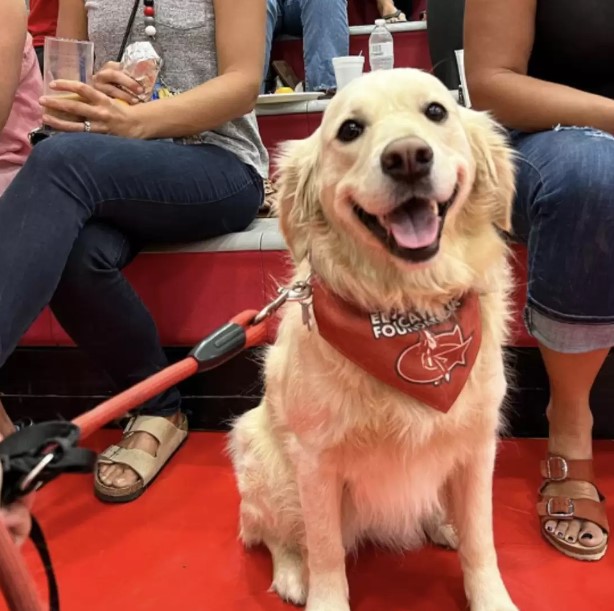 School Therapy Dog Makes History With Her Own Yearbook Photo