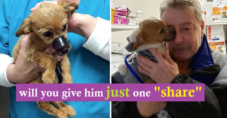 Pet Meets The Man Who Saved Him From A Ditch With His Mouth Taped Shut