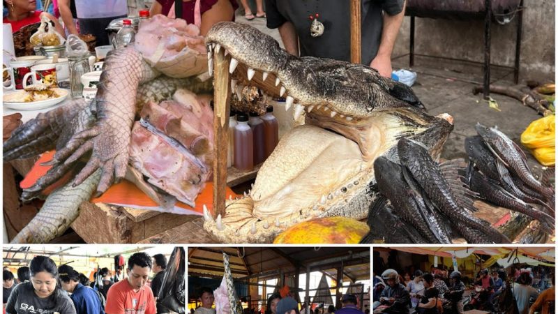 The market sells the scariest animals such as bats, snakes and crocodiles in Indonesia.